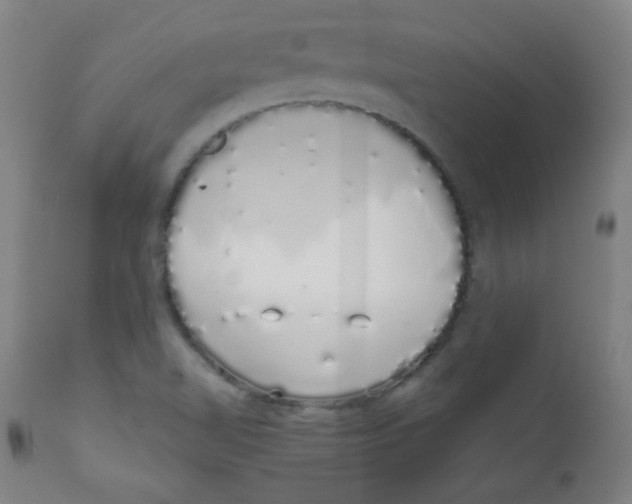 X0000111881510200908201245