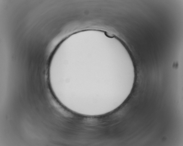 X0000111881511200908201245