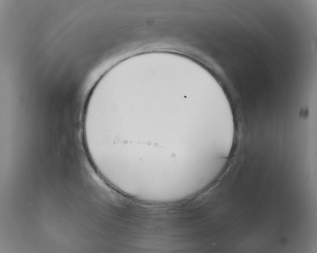 X0000111881512200908201245