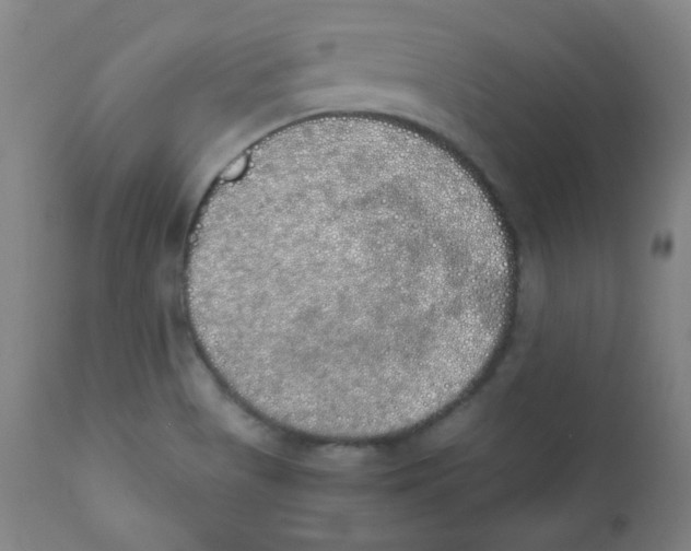 X0000111881513200908201245