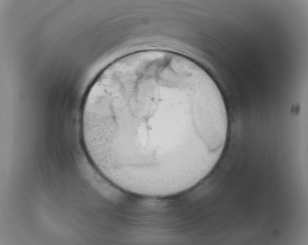 X0000111881514200908201245