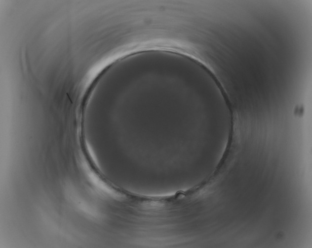 X0000111881515200908201245