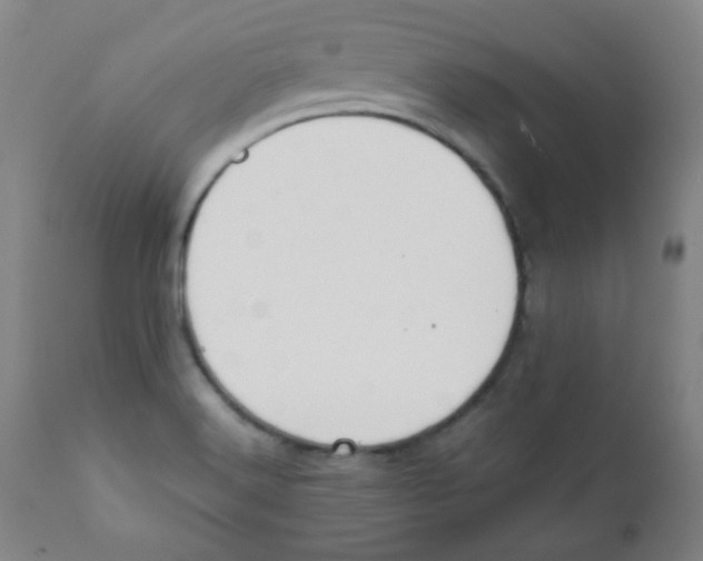 X0000111881516200908201245