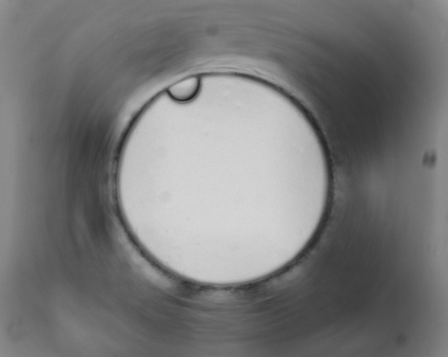 X0000111881517200908201245