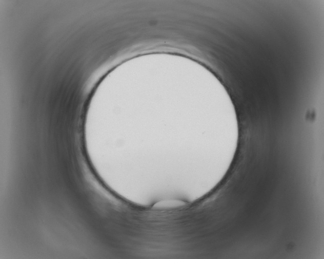 X0000111881518200908201245