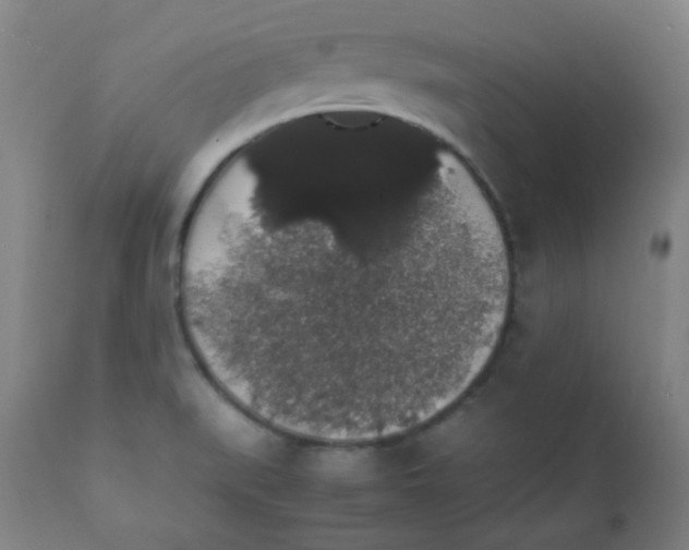 X0000111881519200908201245