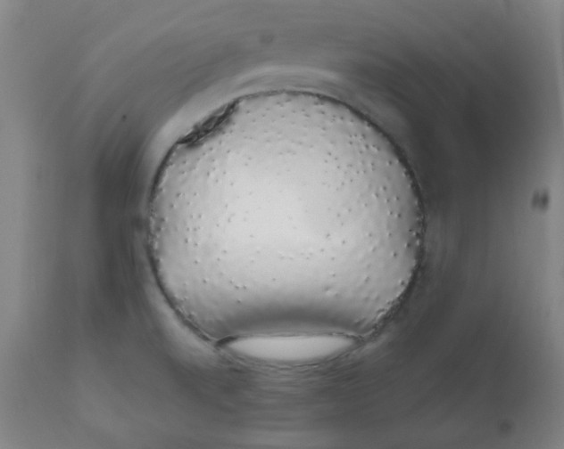 X0000111881520200908201245