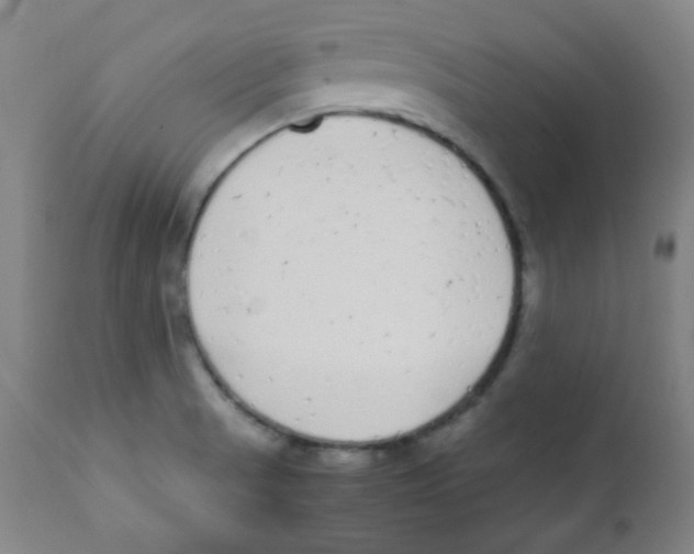 X0000111881521200908201245