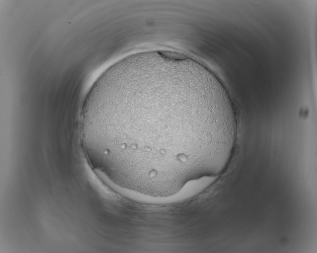 X0000111881524200908201245