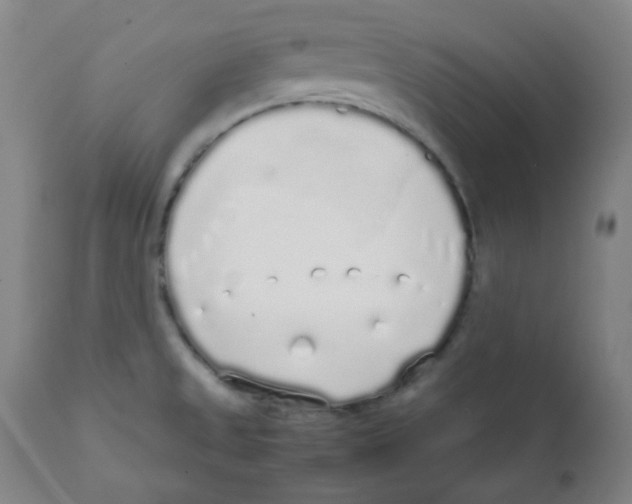 X0000111881525200908201245