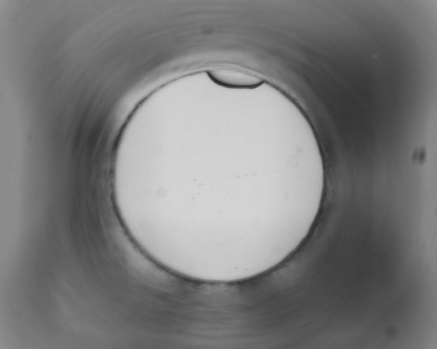 X0000111881526200908201245