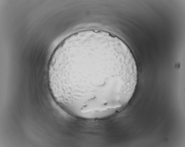 X0000111881527200908201245