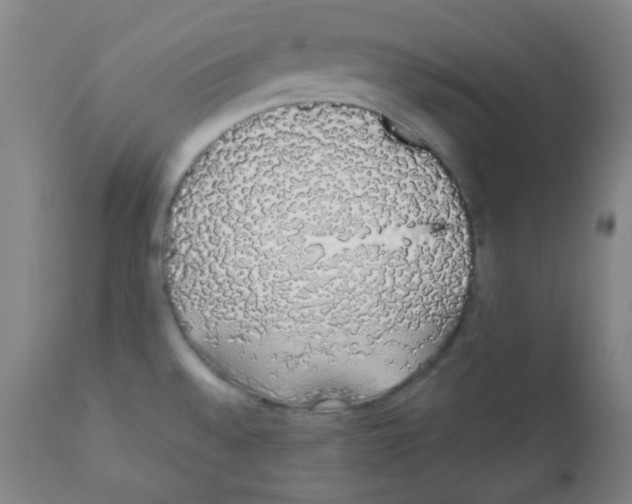 X0000111881528200908201245