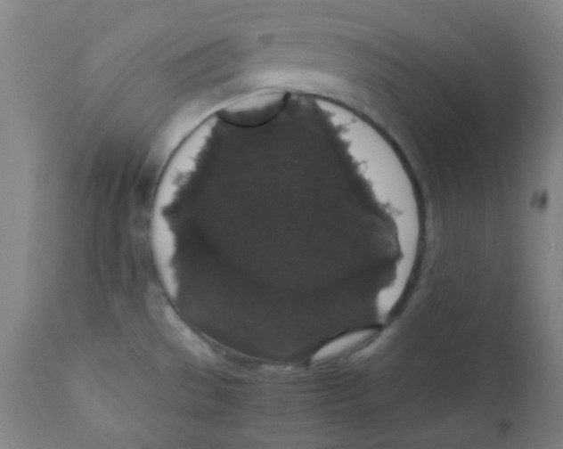 X0000111881529200908201245