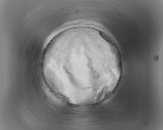 X0000111881530200908201245