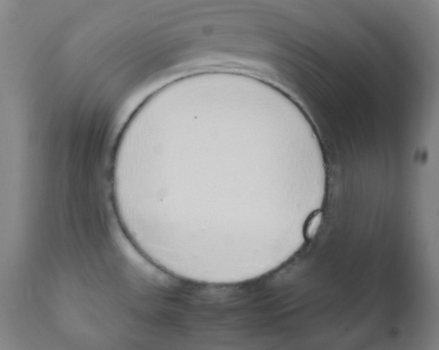 X0000111881531200908201245