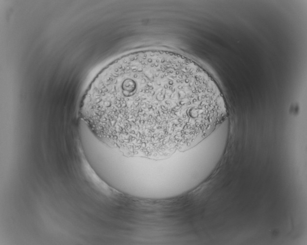 X0000111881532200908201245