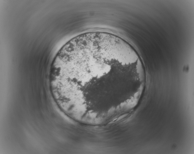 X0000111881533200908201245
