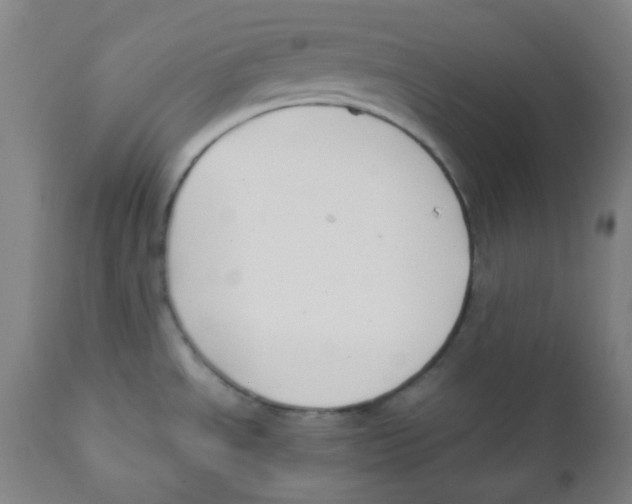 X0000111881534200908201245