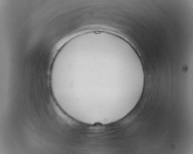 X0000111881535200908201245