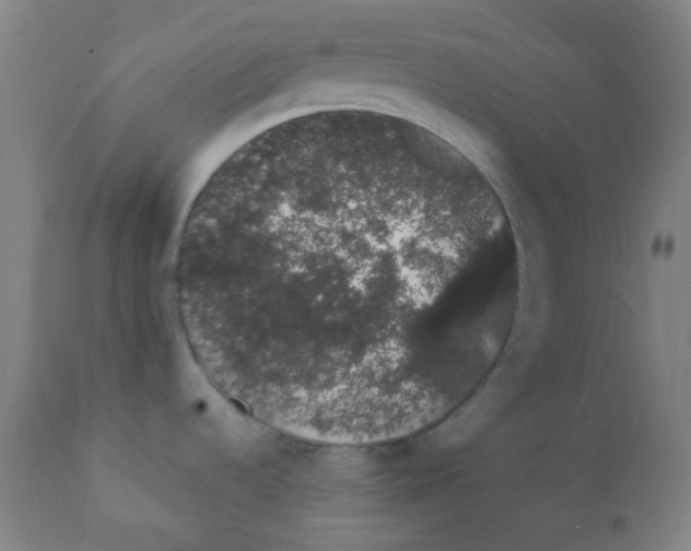 X0000111881536200908201245