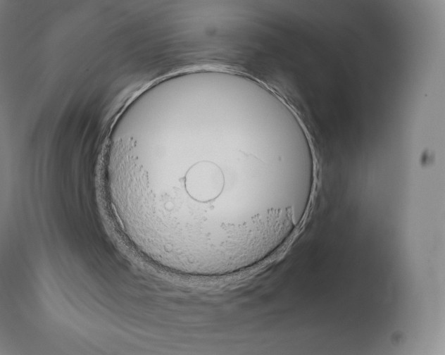X0000111880001200909031851