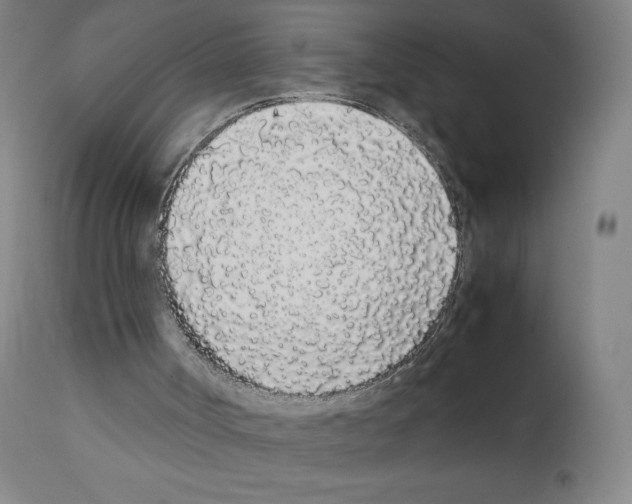 X0000111880002200909031851