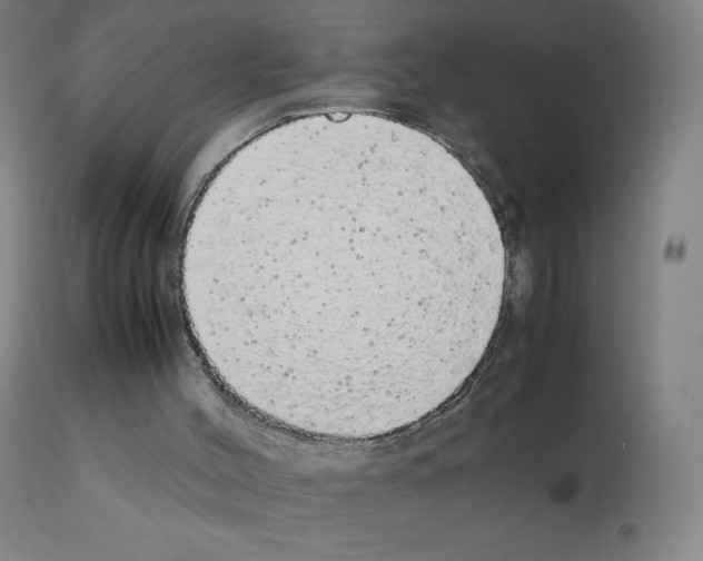 X0000111880004200909031851