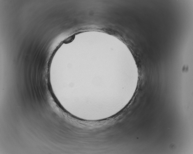 X0000111880006200909031851