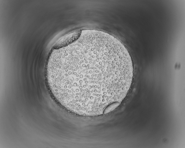 X0000111880007200909031851