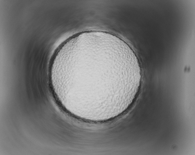 X0000111880008200909031851