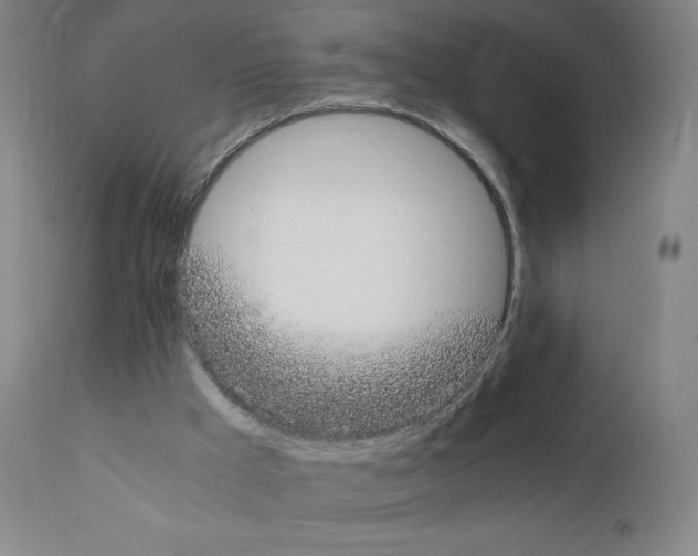 X0000111880009200909031851
