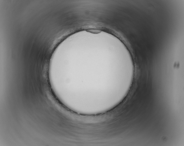 X0000111880010200909031851