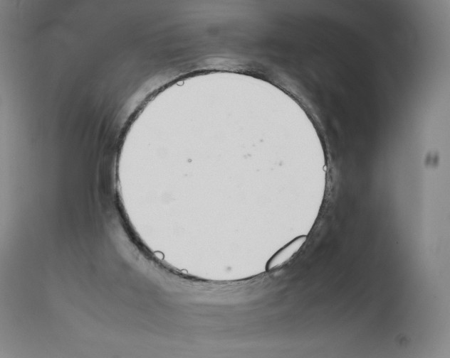 X0000111880011200909031851