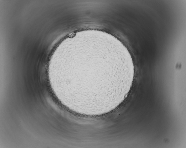 X0000111880012200909031851