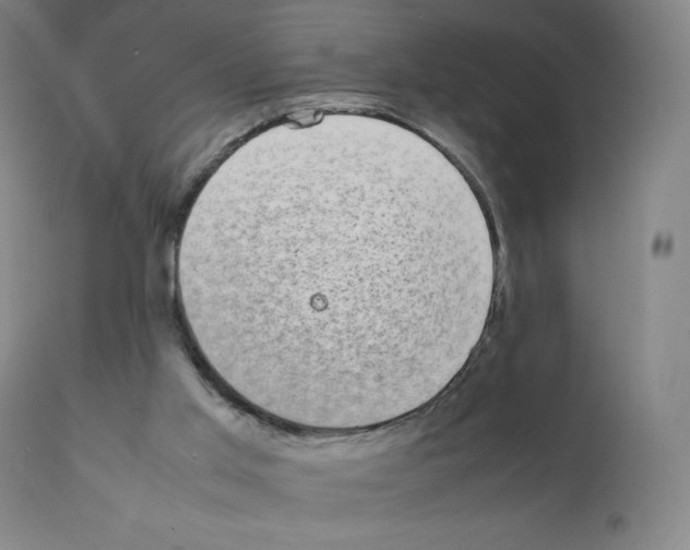 X0000111880013200909031851