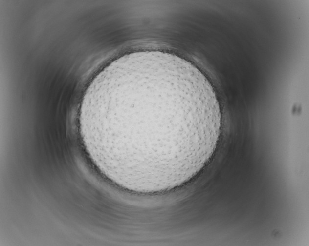 X0000111880014200909031851
