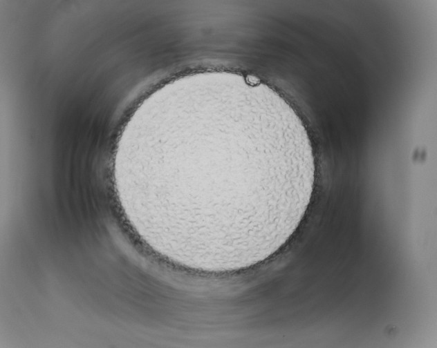 X0000111880016200909031851