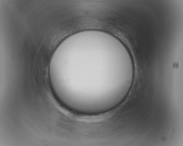 X0000111880017200909031851