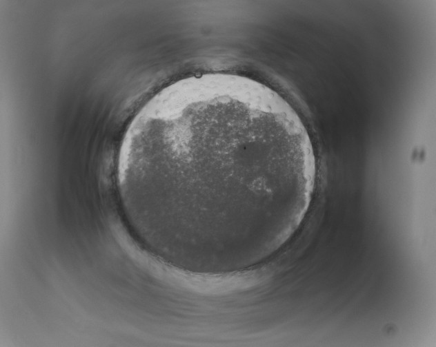 X0000111880018200909031851