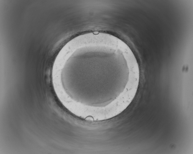 X0000111880019200909031851