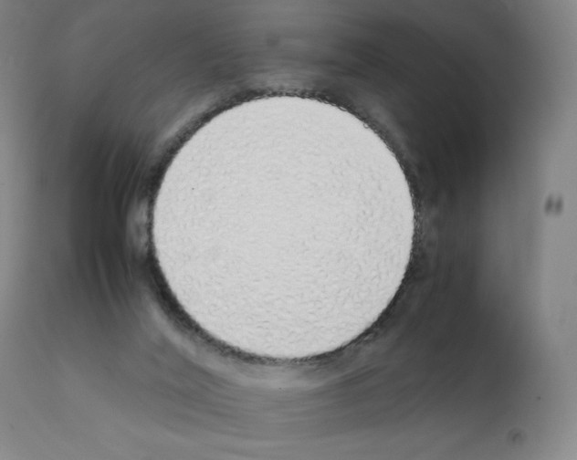X0000111880020200909031851