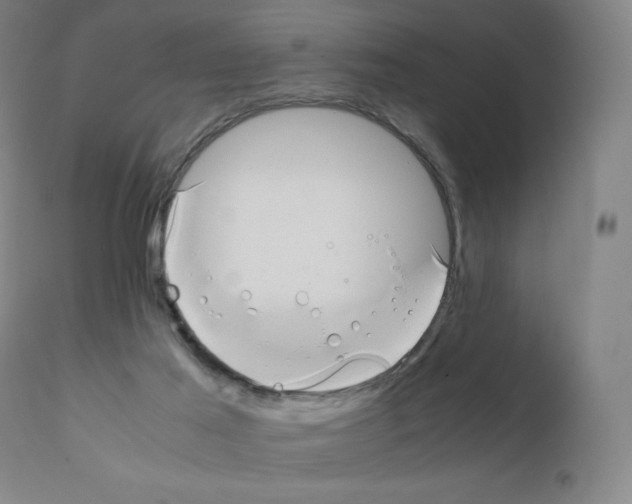 X0000111880021200909031851
