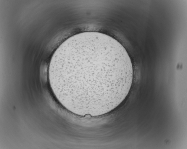X0000111880022200909031851