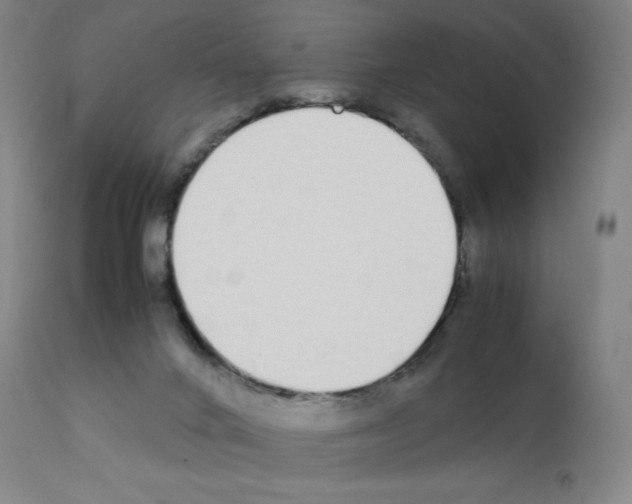 X0000111880024200909031851