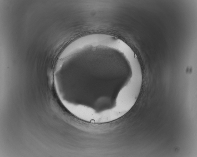 X0000111880027200909031851