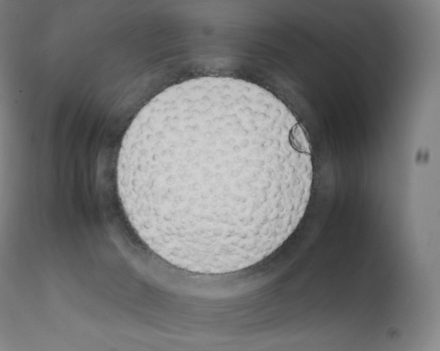 X0000111880030200909031851
