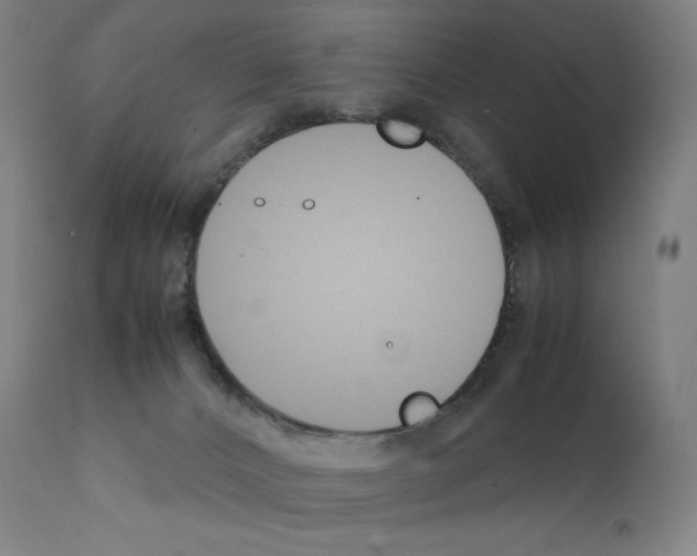 X0000111880032200909031851