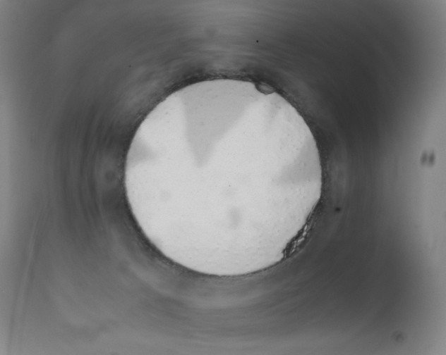 X0000111880033200909031851
