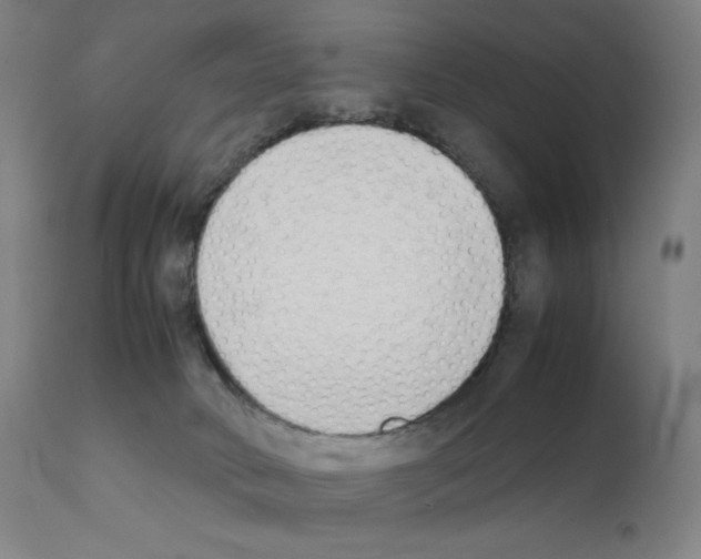 X0000111880034200909031851